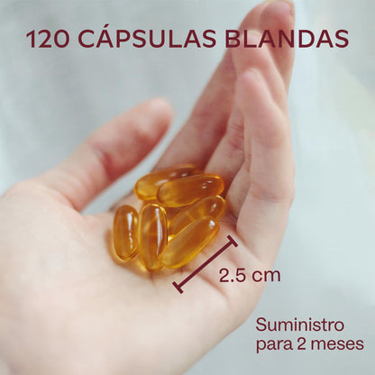 Aavalabs Omega 3 2000mg por dosis diaria (2 cápsulas) - 1000mg de EPA + 500mg de DHA por dosis diaria - Ácidos Grasos de Alta Potencia - Destilado Molecularmente - 120 Cápsulas - 60 días de suministro