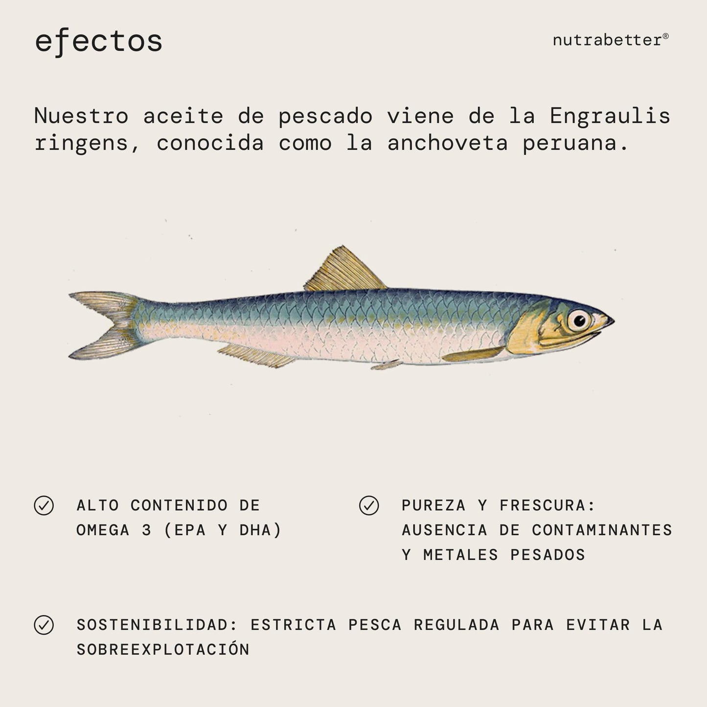Omega 3 capsulas 2000mg | 200 Perlas | 600mg de Omega-3 puro + Vitamina E | Calidad Testada | Ácidos Grasos Omega 3 para Salud del Corazón, Cerebral y de la Presión Sanguínea | nutrabetter®
