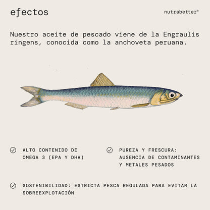 Omega 3 capsulas 2000mg | 200 Perlas | 600mg de Omega-3 puro + Vitamina E | Calidad Testada | Ácidos Grasos Omega 3 para Salud del Corazón, Cerebral y de la Presión Sanguínea | nutrabetter®