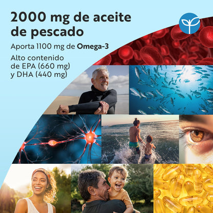 Nutravita Omega 3 2000mg, con 660mg EPA y 440mg DHA, 240 Cápsulas Blandas para 4 Meses - Corazòn, Función Cerebral y Visiòn (EFSA) Omega 3 Capsulas Suplementos para Hombres y Mujeres